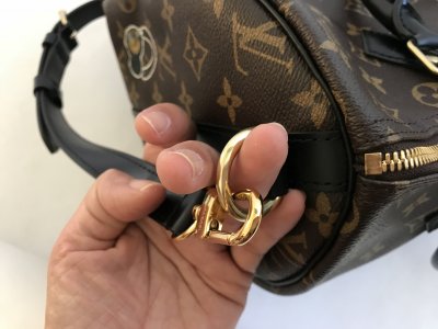 Louis Vuitton Speedy 30 Bandelier Limited World Tour