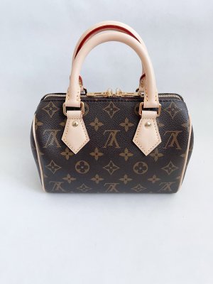 Louis Vuitton Speedy 20