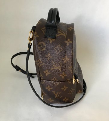 Louis Vuitton Mini Palm Spring
