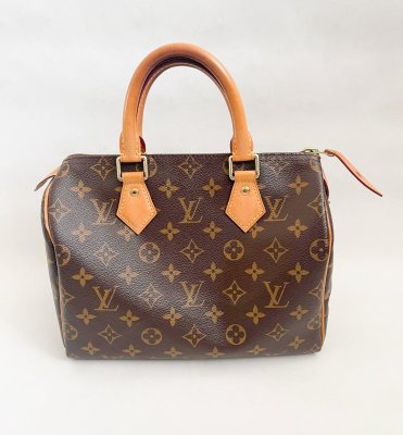 Louis Vuitton Speedy 25 Monogram Canvas