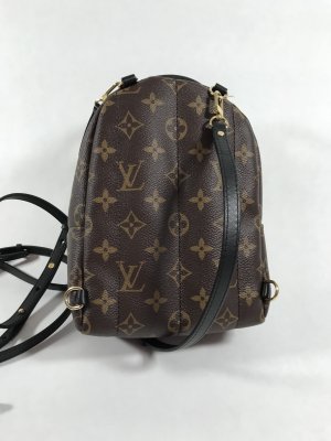 Louis Vuitton Mini PalmSpring