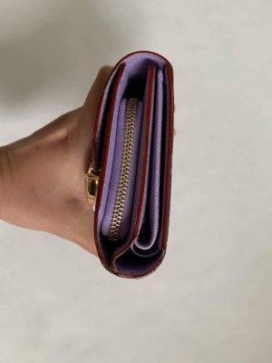 Louis Vuitton Compact Wallet Multicolor