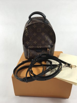 Louis Vuitton Mini PalmSpring