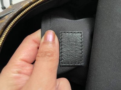Louis Vuitton Mini Palmspring Backpack