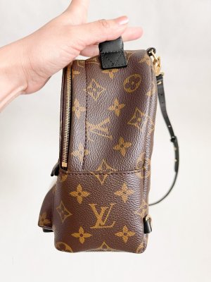 Louis Vuitton Mini Palmspring Backpack