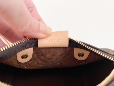 Louis Vuitton Speedy Nano
