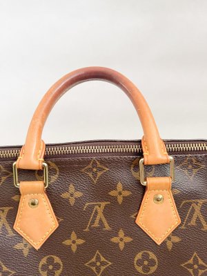 Louis Vuitton Speedy 25 Monogram Canvas