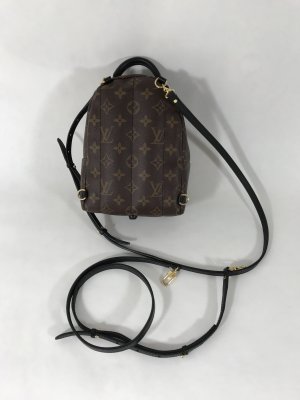Louis Vuitton Mini Palmspring
