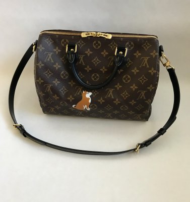 Louis Vuitton Speedy 30 Bandelier Limited World Tour