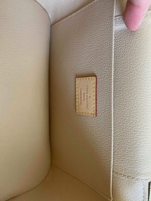 Louis Vuitton Nice BB with strap