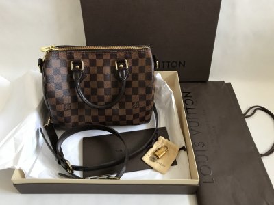 Louis Vuitton Speedy 25 Damier Canvas