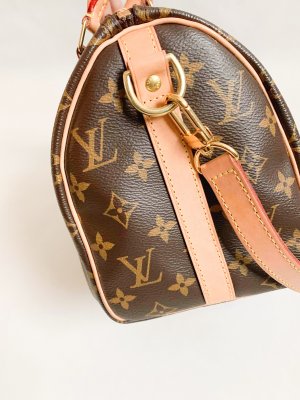 Louis Vuitton Speedy 25 monogram canvas
