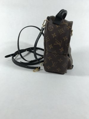 Louis Vuitton Mini PalmSpring