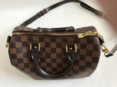 Louis Vuitton Speedy 25 Damier Canvas