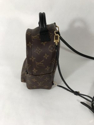 Louis Vuitton Mini Palmspring