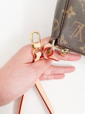 Louis Vuitton Pochette Accessoires Monogram Canvas