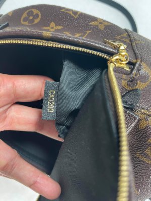 Louis Vuitton Mini PalmSpring backpack