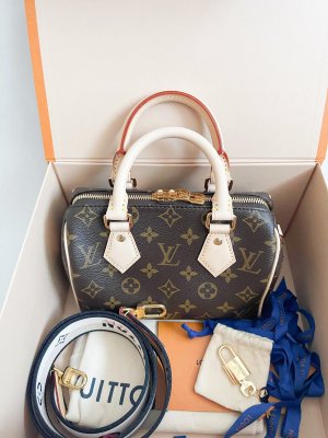 Louis Vuitton Speedy 20