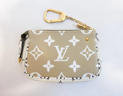 Louis Vuitton Pochette mini Accessories