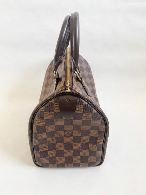 Louis Vuitton Speedy 25 Damier Canvas