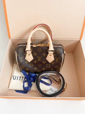 Louis Vuitton Speedy 20