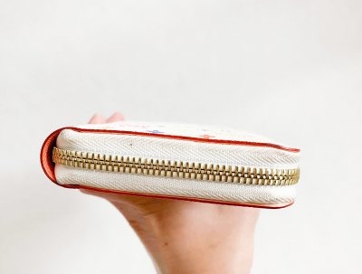 Louis Vuitton Zippy Wallet Multicolore
