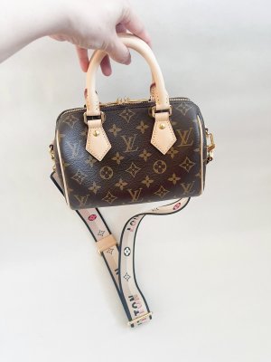 Louis Vuitton Speedy 20