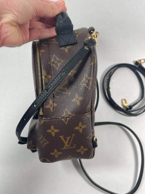 Louis Vuitton Mini PalmSpring backpack