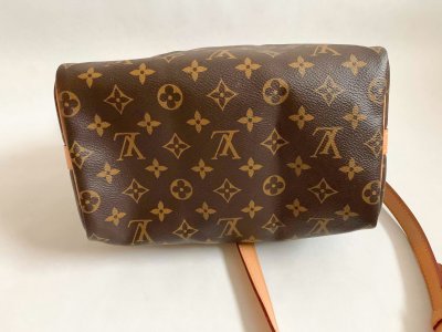Louis Vuitton Speedy 25 monogram canvas