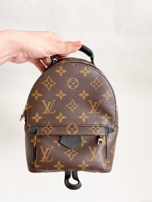 Louis Vuitton Mini Palmspring Backpack