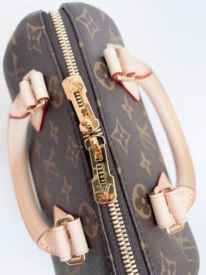 Louis Vuitton Speedy 20