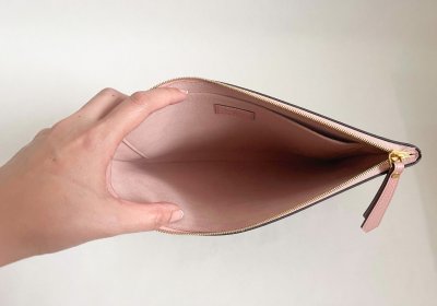 Louis Vuitton Daily Pouch