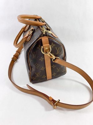 Louis Vuitton Speedy 25 bandelier monogram