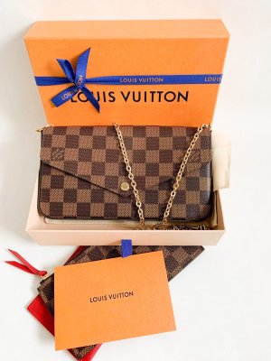 Louis Vuitton Pochette Felicie Damier Canvas
