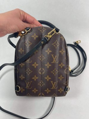 Louis Vuitton Mini PalmSpring backpack
