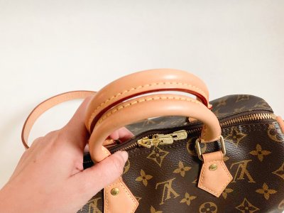 Louis Vuitton Speedy 25 monogram canvas