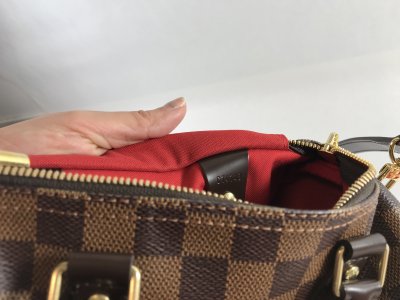 Louis Vuitton Speedy 25 Bandelier Damier Canvas
