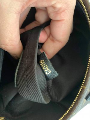 Louis Vuitton Mini Palm Spring