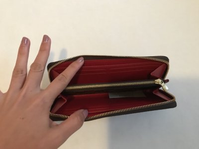 Louis Vuitton Clemence Wallet