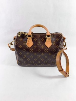 Louis Vuitton Speedy 25 bandelier monogram