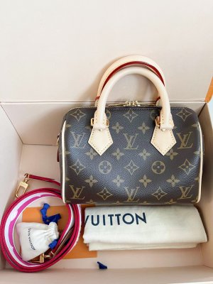 Louis Vuitton Speedy 20