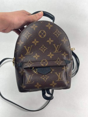Louis Vuitton Mini PalmSpring backpack