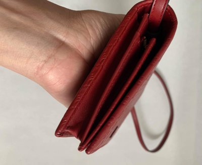 Gucci Micro Guccissisma WOC