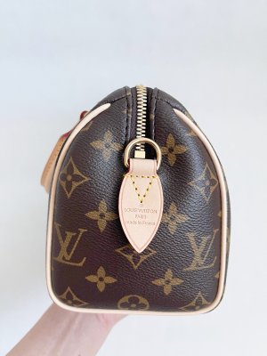 Louis Vuitton Speedy 20