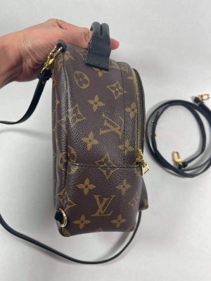 Louis Vuitton Mini PalmSpring backpack