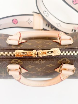 Louis Vuitton Speedy 20