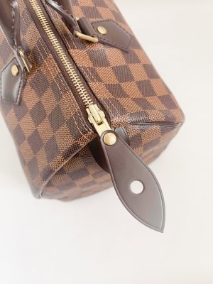 Louis Vuitton Speedy 30 Damier Canvas