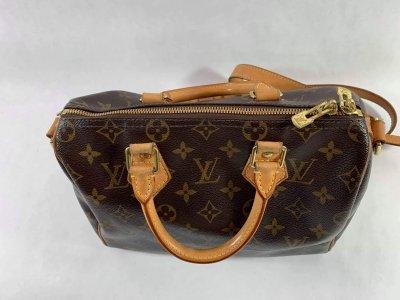 Louis Vuitton Speedy 25 bandelier monogram