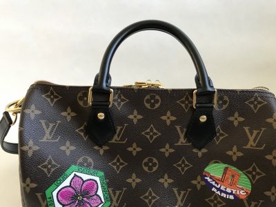 Louis Vuitton Speedy 30 Bandelier Limited World Tour