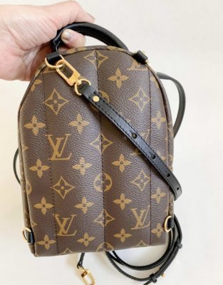 Louis Vuitton Mini PalmSpring